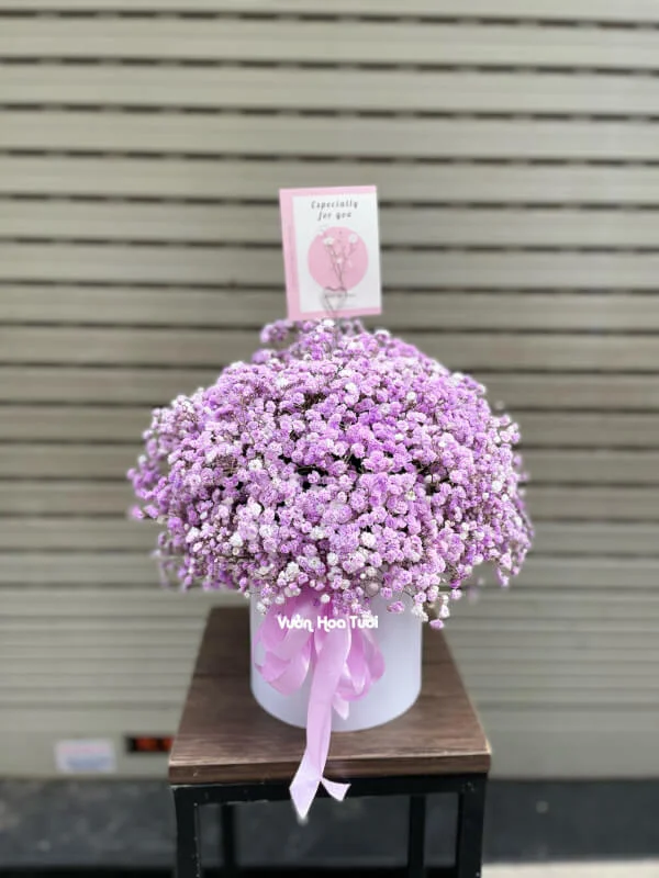 Hộp Hoa Baby Tím Say Đắm Tặng Mẹ 17 439C3527 531F 464D 806E 6AD3073A3D71 scaled 1
