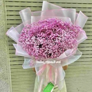 Bo Hoa Baby Hong MS03 2