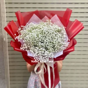 Bo Hoa Baby Trang Red