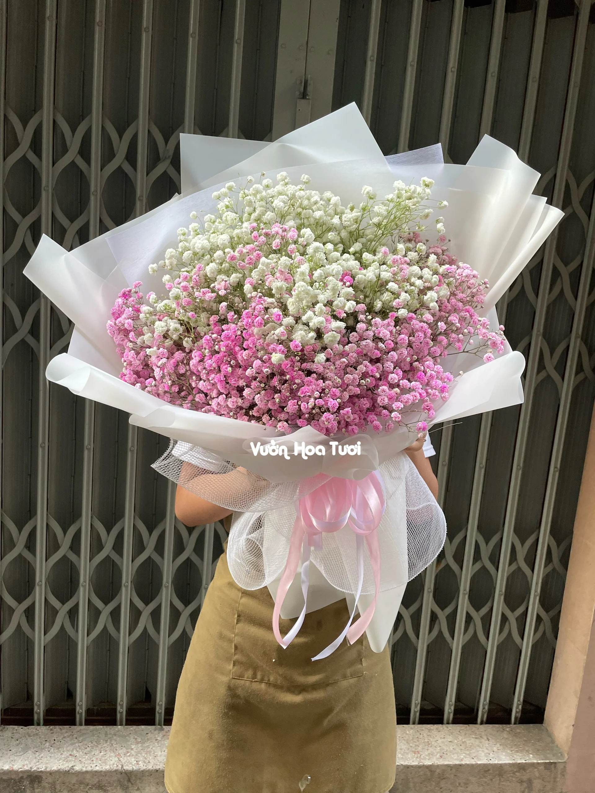 Bó Hoa Baby White 2 Pink 2 Bo Hoa Baby White 2 Pink jpg