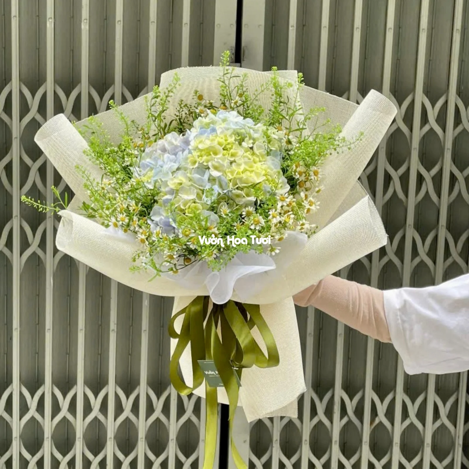 Hydrangea Passionate Poetry Bouquet 11 Bo Hoa Cam Tu Cau An Lanh