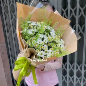 Bo Hoa Cuc Rosy Don Gian Yeu Thuong e1717829897352