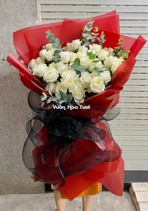 Bo Hoa Hong Trang RedBack