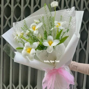 Bo Hoa Tulip Trang Vuon Hoa Tuoi jpg