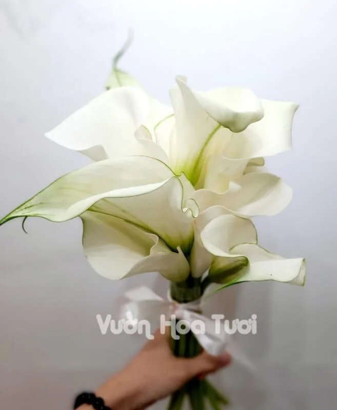 Bó hoa cưới cầm tay cô dâu <br> Rum Trắng (xếp tầng)-HCT03 8 Bo hoa cuoi cam tay Hoa Rum xep tang HCT03 scaled 1