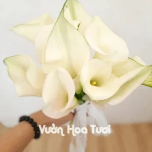 Bo hoa cuoi cam tay Hoa Rumbo tron HCT04 scaled 1