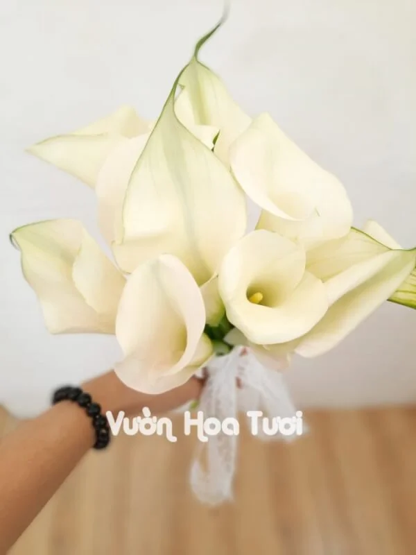 Bó hoa cưới cầm tay <br> Hoa Rum (bó tròn)-HCT04 5 Bo hoa cuoi cam tay Hoa Rumbo tron HCT04 scaled 1