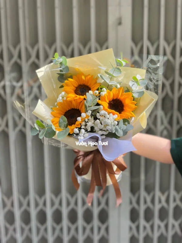 Bó Hoa Hướng Dương Tốt Nghiệp Baby Mini 4 Bo hoa huong duong baby mini