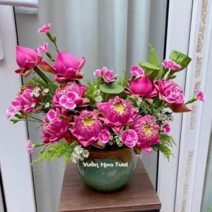 Chau Su Hong Sen Cat Tuong 1