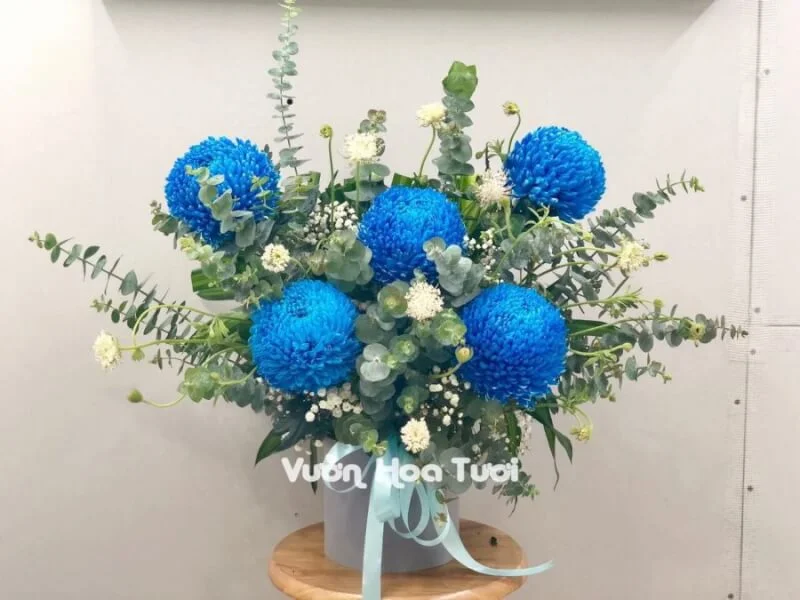 Hộp Hoa Cúc Mẫu Đơn Xanh Dương 3 Hop Hoa Cuc Mau Don Xanh Duong scaled 1