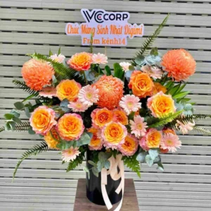 Lang Hoa Chuc Mung Cuc Mau Don Cam Spirit 25