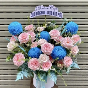 Lang Hoa Khai Truong Ohara BluePink