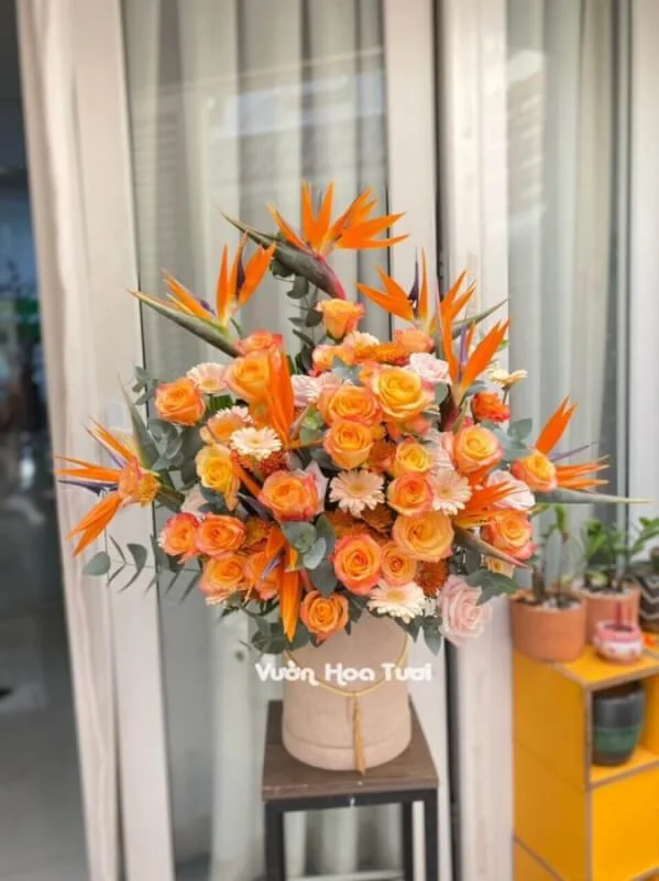 Lang Hoa Thien Dieu Hong Cam scaled 1