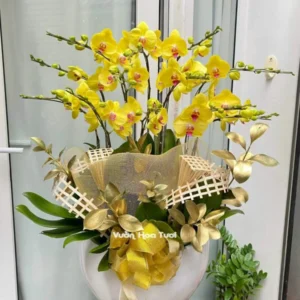 Lang hoa Lan Vang 12 canh