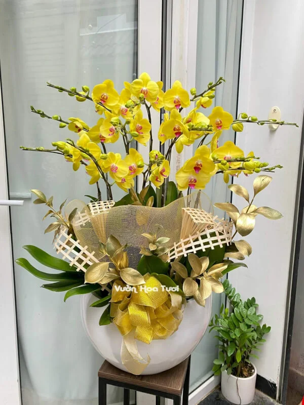 Lẵng Hoa Lan Vàng 09 Cành <br> Khai Trương May Mắn 18 Lang hoa Lan Vang 12 canh