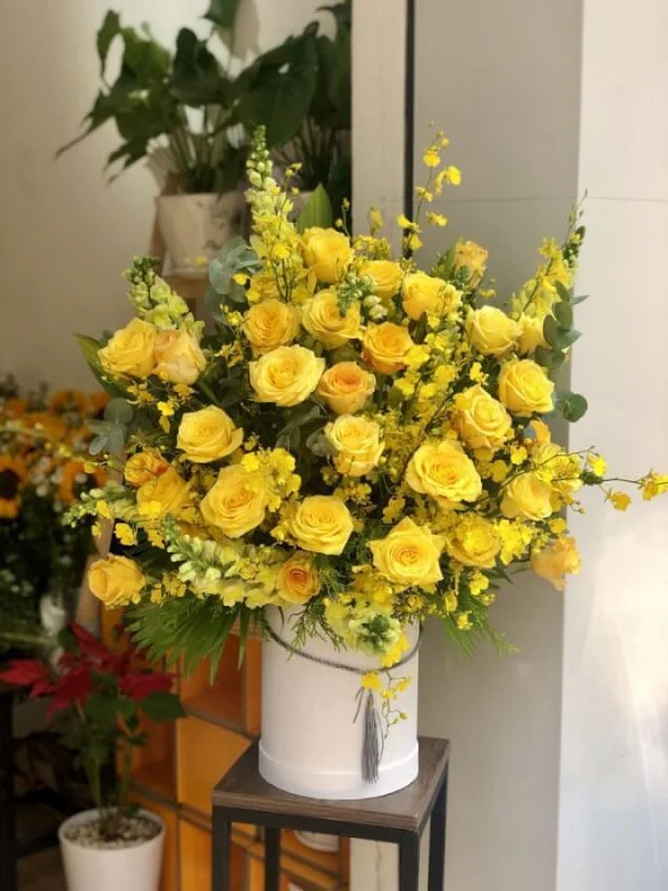 Lang hoa Ohara Vang Lan Vu Nu