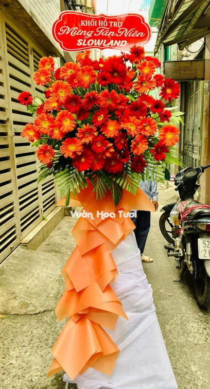 Kệ Hoa Khai Trương Đồng Tiền Cam <br> Phát Triển 15 ke hoa khai truong cam