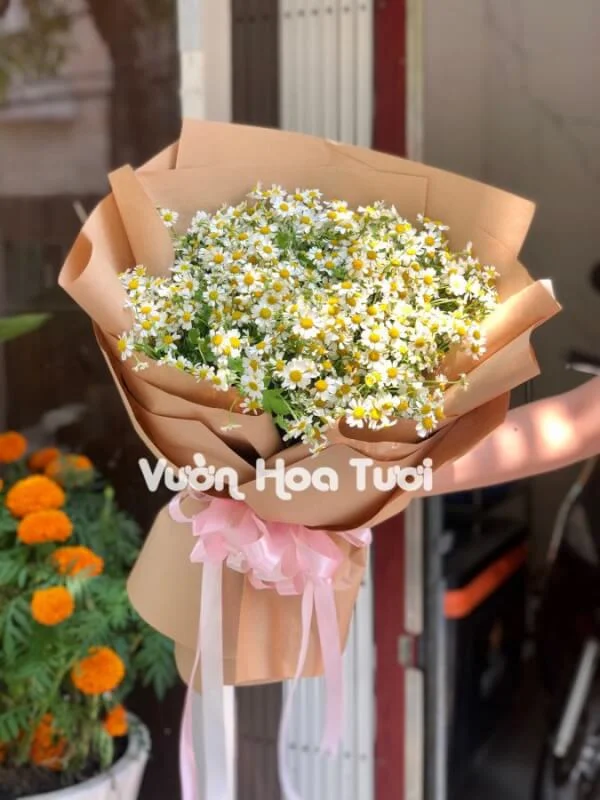 Bó Hoa Cúc Tana Tươi Đẹp Ngày Hạnh Phúc Vui Mới 17 phonto 1 scaled 1