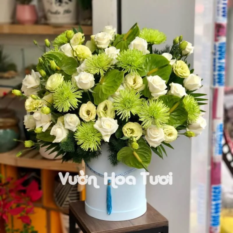 phonto 6 scaled scaled 2