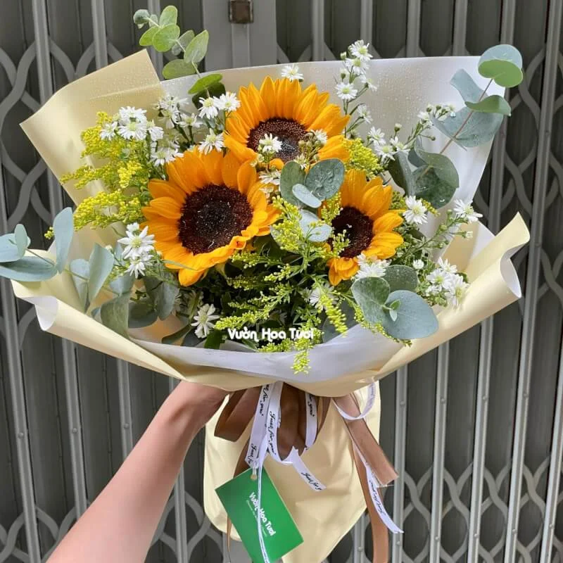 Bó Hoa Hướng Dương 3 Bông Thảo Trắng Hoàng Anh 1 phonto 82