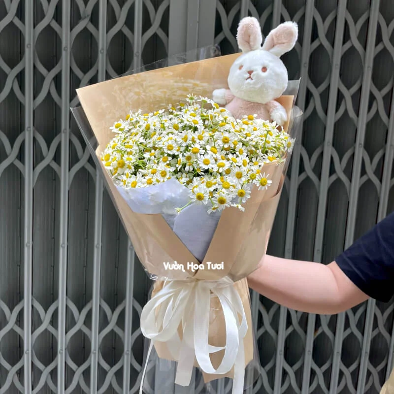 Bó Hoa Tana Bó Gọn Xinh Kèm Thỏ Bông 1 phonto 83 13