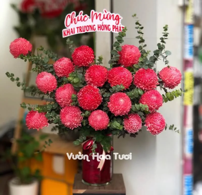 Lẵng hoa cúc mẫu đơn đỏ <br> 18 Bông Sang trọng 5 z2499643475402 cb5769c997e3f3af94c313e133ee91e0 scaled 1