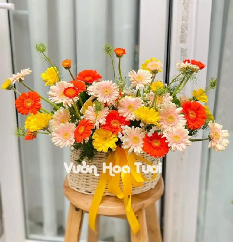 Giỏ Hoa Khai Trương Đồng Tiền Tươi Mới 5 z3045154264237 40500880840226804e7c70874b0754c4 scaled 1