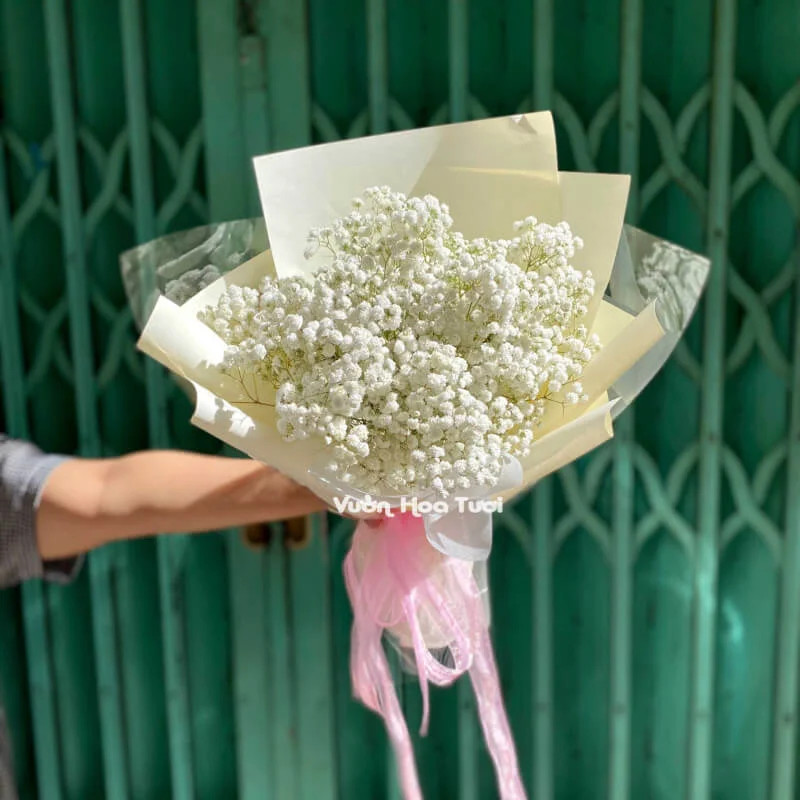 Bó Hoa Baby Trắng Thiên Thần Nhỏ 6 z4021641484694 1a66c24bc669f44d4d2de4842badd92a optimized optimized