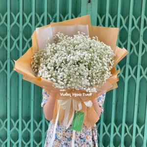 z4021641538725 071c4c820e0007ec30e32f40819dc9a7 optimized optimized