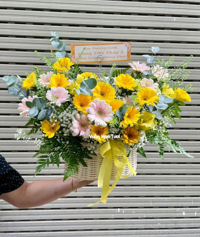 Giỏ Hoa Khai Trương Đồng Tiền Vàng 14 z4275467394521 bad019b7b83da28a9b76dce0f31a072c