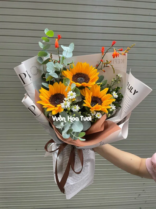 Bó Hoa Hướng Dương đẹp xinh Sự kiện vinh quang 17 z4308122723290 8ad209c4b7bf936f62a4d1f6bedcadb5