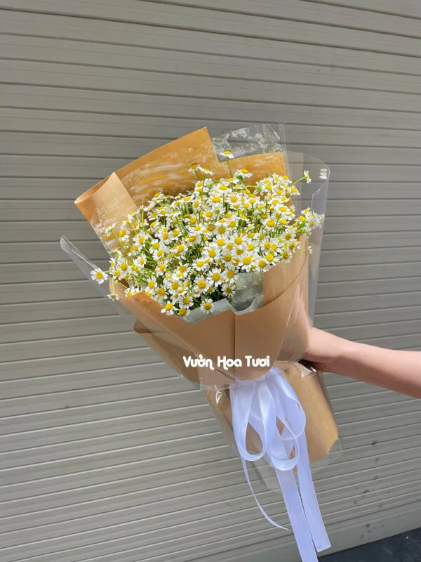 Bó Hoa Cúc Tana Đơn Giản Mini 14 z4366555607330 a7add4013f8745861df05fcfa3b1e7dc