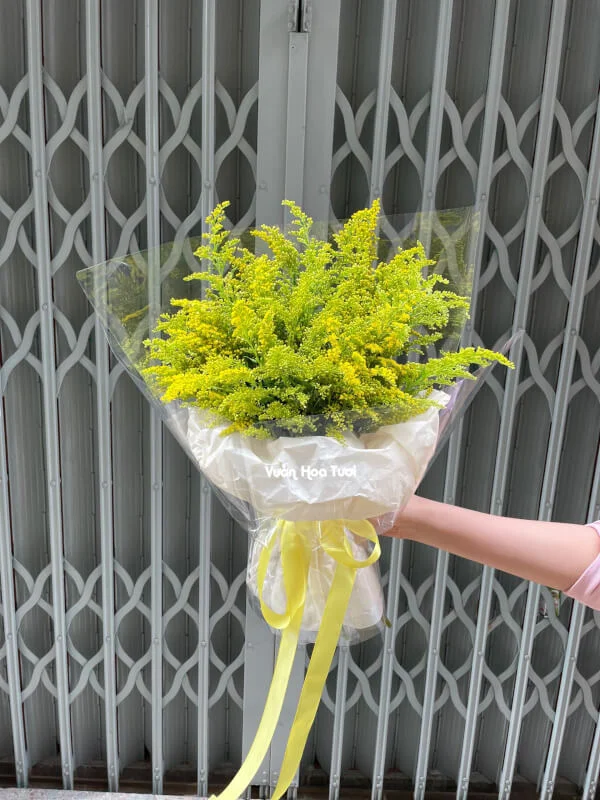 Bó Hoa Hoàng Anh Tinh Tế 19 z4416216564685 4c0da54cc77a91e0320839f730dfcccf