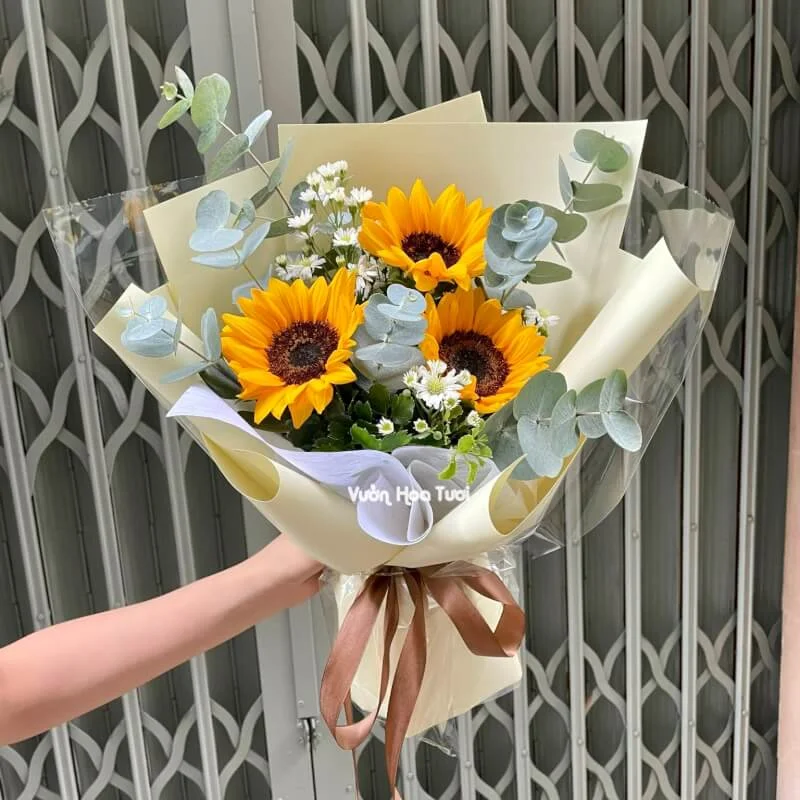 Bó Hoa Hướng Dương 03 Bông Ngày Mới 1 z4835768260170 d6c20cfe2ad14f944791794fff00916a