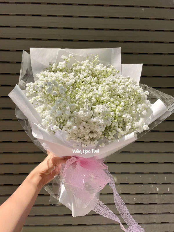 Bó Hoa Baby Trắng Giá Rẻ Xinh Xắn 2 z5045635948850 205bfcd220e2fb8607a66d0b14771c1e