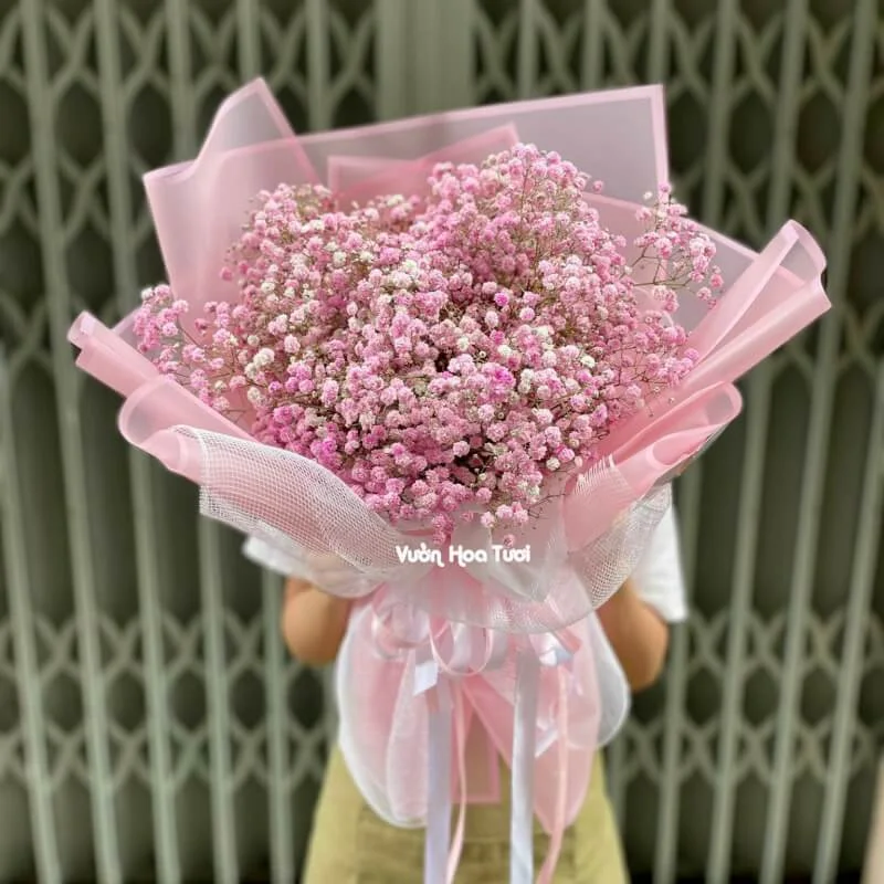 Bó Hoa Baby Hồng Tặng Bạn Thân 15 z5070354437968 81ff7594a885653308e03265843f674f