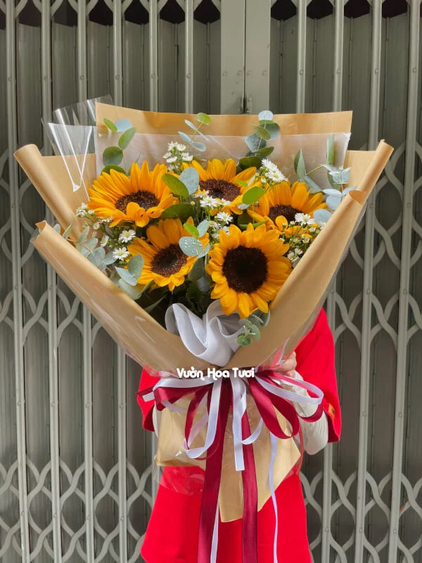 Bó Hoa Hướng Dương Tốt Nghiệp Lá Bạc 5 Bông 17 z5469028040190 028066757f777d709f457fdf3ae0afcc