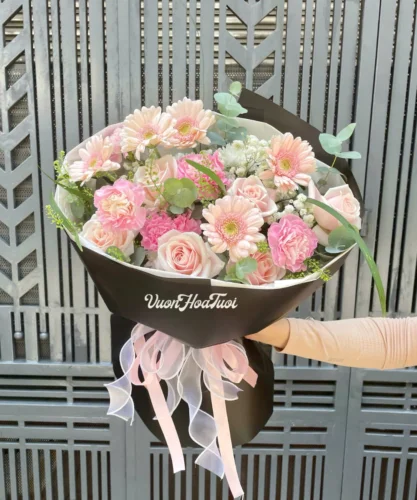 Pastel Hồng Dreamy 6 Pastel Hồng Dreamy
